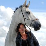 juni 2026 zomer: Zoet & Zacht – meesterschap en paardenkracht